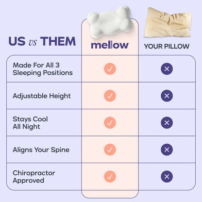 BodyAlign Plus+ and CloudAlign pillow bundle